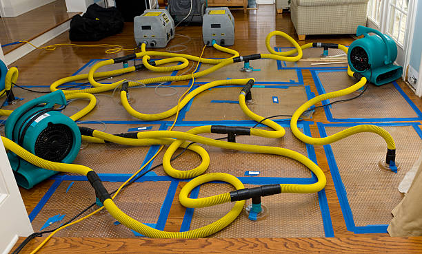 Professional Burst Pipe Water Damage technician working in Natick, MA